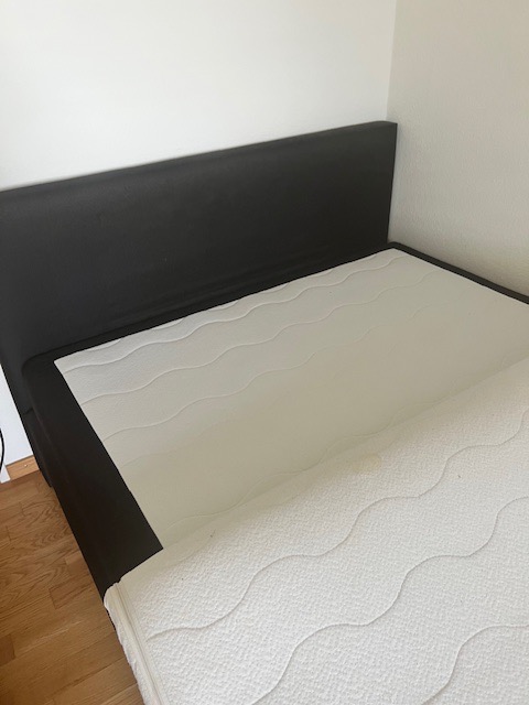 https://backend.markt.unibas.ch/storage/v1/object/public/posts/2569a378-fdaf-4bc5-ab10-dbe9f3d1f756/23bae127-68f7-4706-8ea8-16db5dfc641d.jpeg